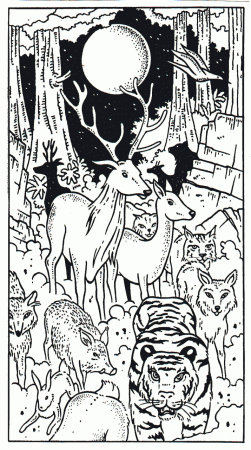 Nuit étrange dans la taïga 1995