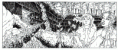 /album/romans-jeunesse/les-fantomes3-gif/