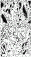 /album/romans-jeunesse/virtuel1-gif/